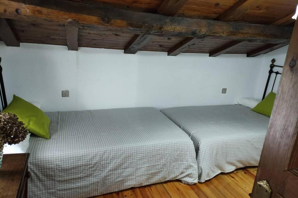 Casa Carmen Respira Asturias, Respira Naturaleza. *